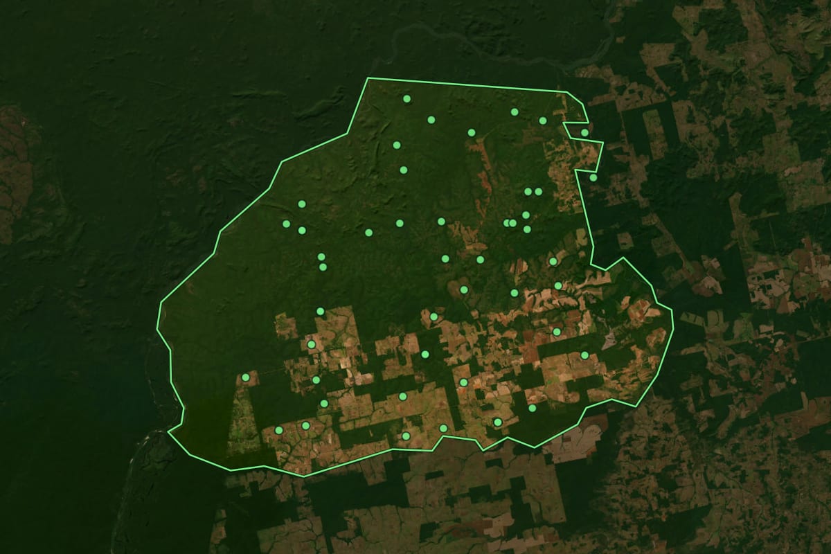 Imagem de satélite de Santa Cruz do Xingu (MT), com o contorno do município e a posição dos imóveis desta página.