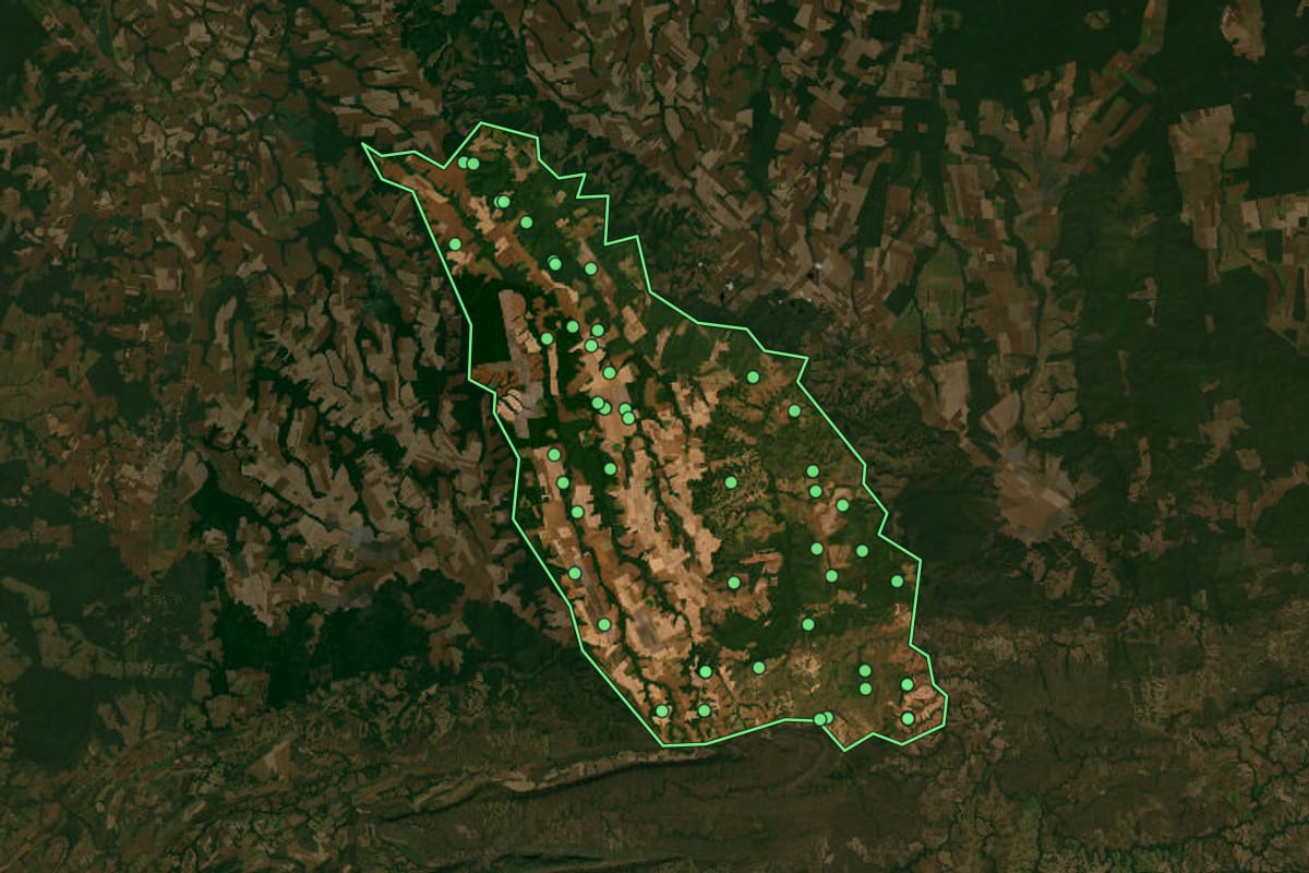 Imagem de satélite de Santa Rita do Trivelato (MT), com o contorno do município e a posição dos imóveis desta página.