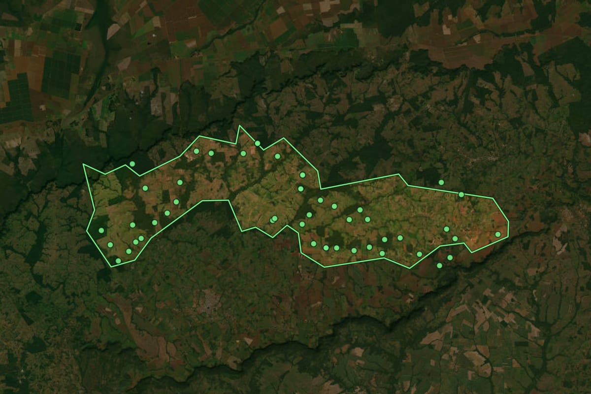 Imagem de satélite de Santo Afonso (MT), com o contorno do município e a posição dos imóveis desta página.