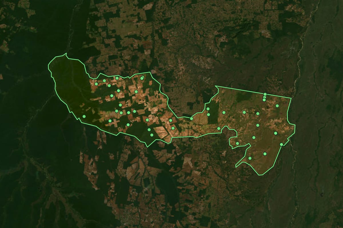 Imagem de satélite de São Félix do Araguaia (MT), com o contorno do município e a posição dos imóveis desta página.
