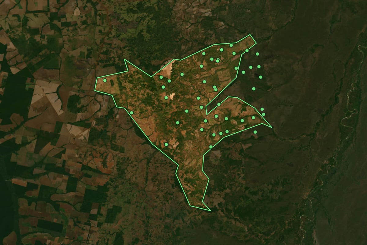Imagem de satélite de Serra Nova Dourada (MT), com o contorno do município e a posição dos imóveis desta página.