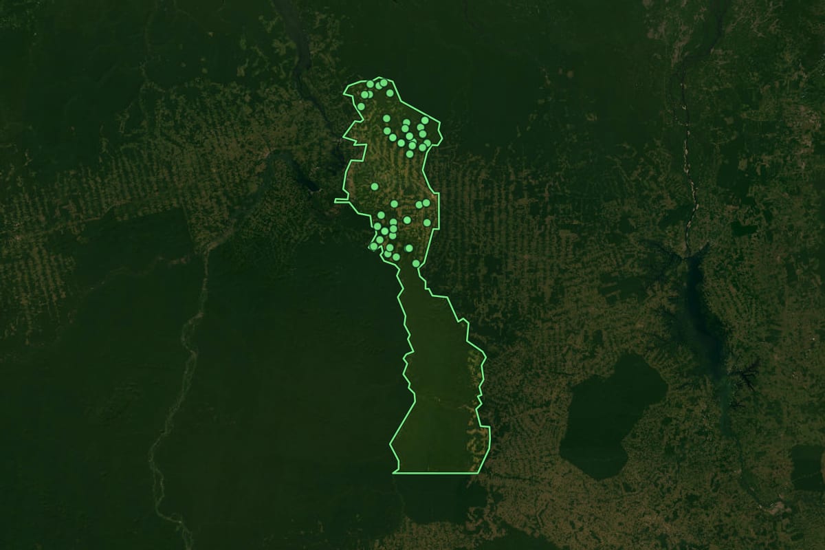 Imagem de satélite de Anapu (PA), com o contorno do município e a posição dos imóveis desta página.
