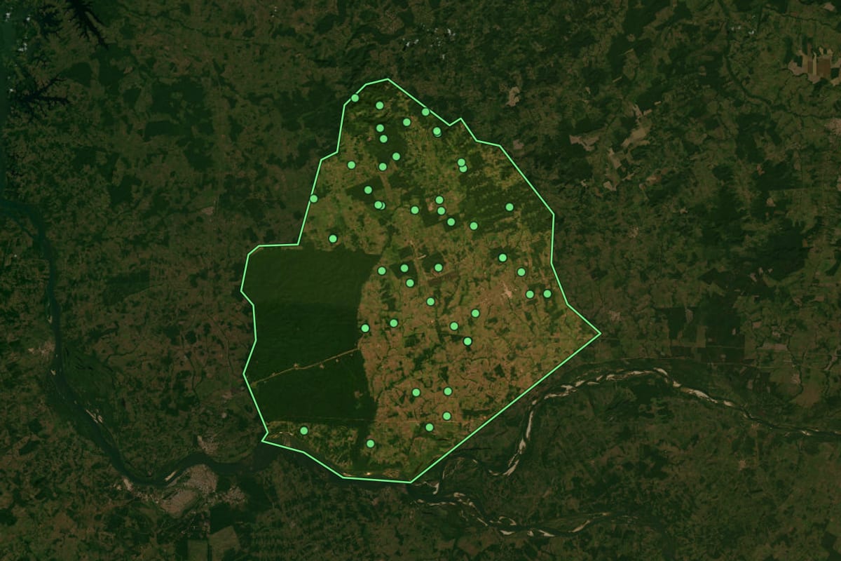 Imagem de satélite de Bom Jesus do Tocantins (PA), com o contorno do município e a posição dos imóveis desta página.