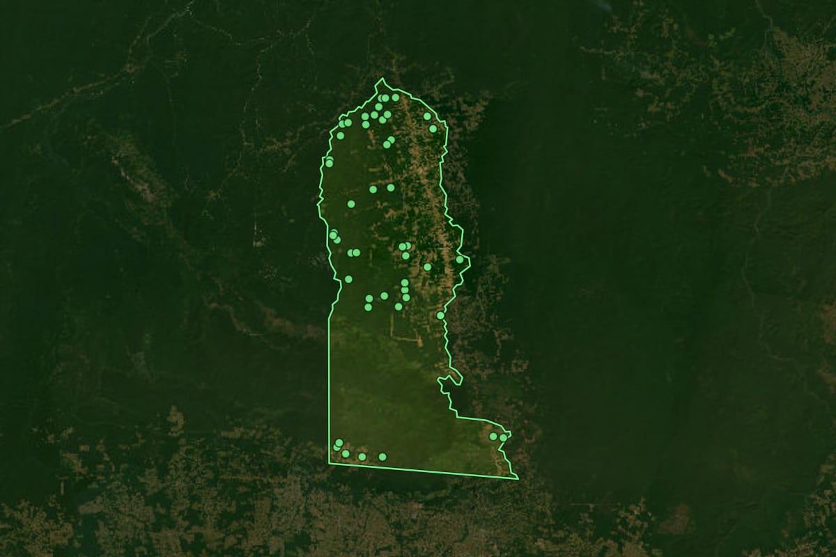 Imagem de satélite de Novo Progresso (PA), com o contorno do município e a posição dos imóveis desta página.