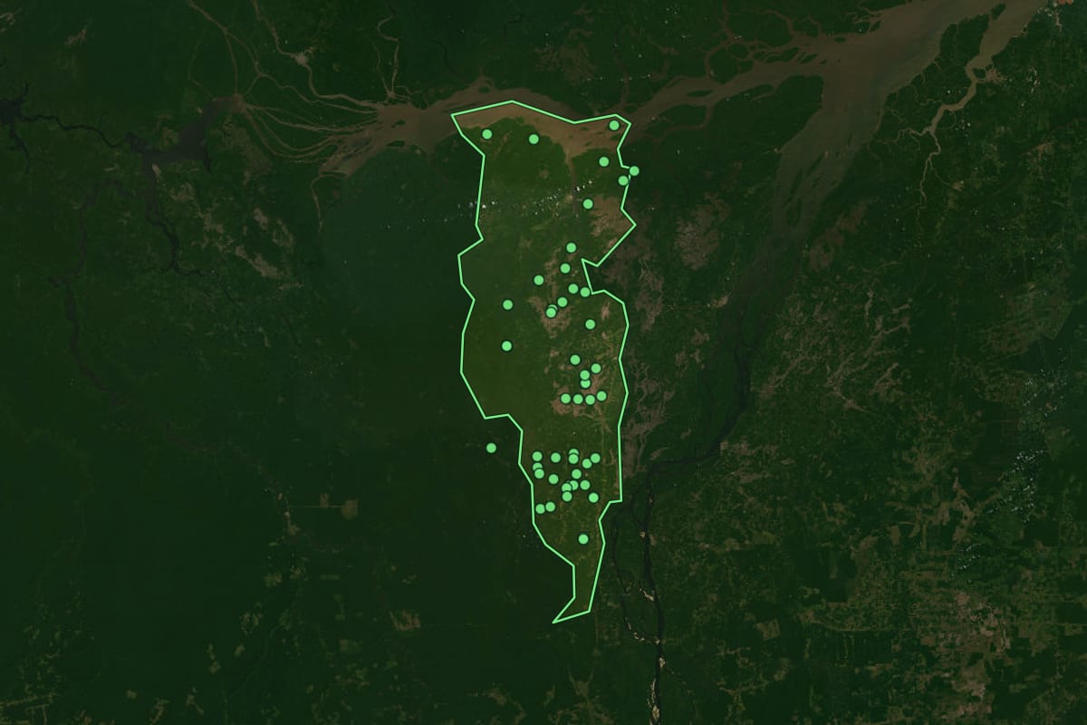 Imagem de satélite de Oeiras do Pará (PA), com o contorno do município e a posição dos imóveis desta página.