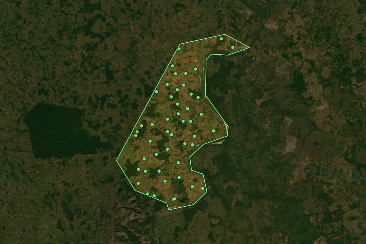 Imagem de satélite de Palestina do Pará (PA), com o contorno do município e a posição dos imóveis desta página.