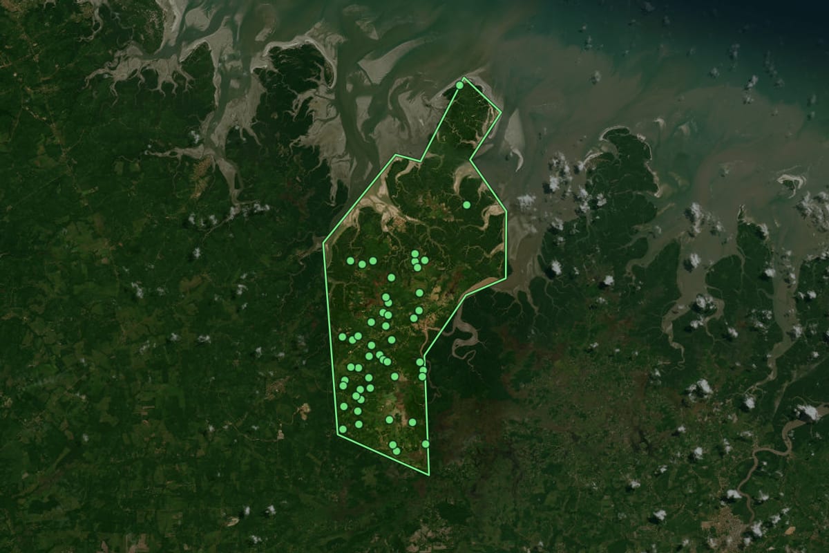 Imagem de satélite de Quatipuru (PA), com o contorno do município e a posição dos imóveis desta página.