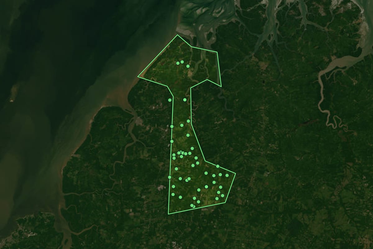Imagem de satélite de São Caetano de Odivelas (PA), com o contorno do município e a posição dos imóveis desta página.