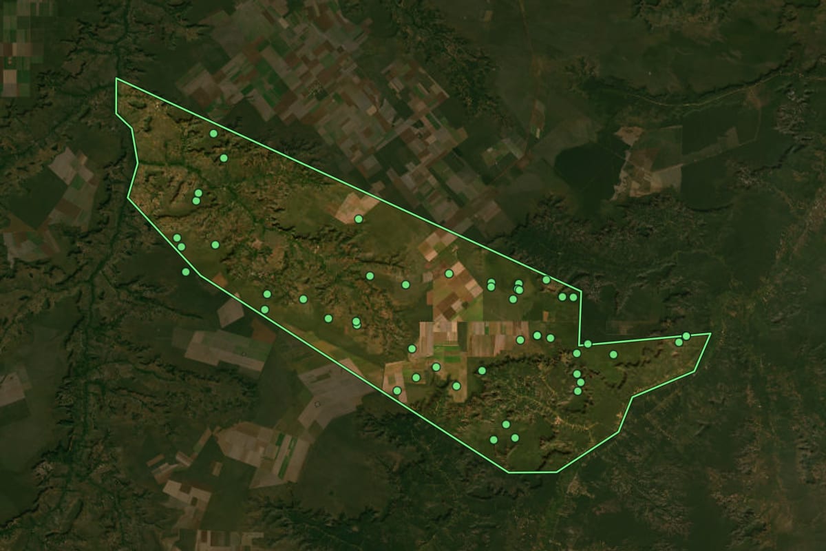 Imagem de satélite de Palmeira do Piauí (PI), com o contorno do município e a posição dos imóveis desta página.