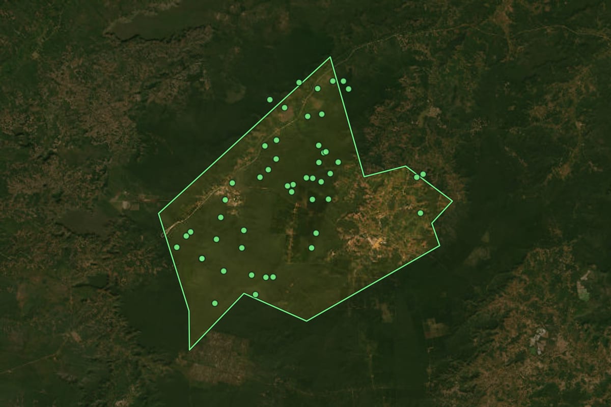 Imagem de satélite de Pavussu (PI), com o contorno do município e a posição dos imóveis desta página.