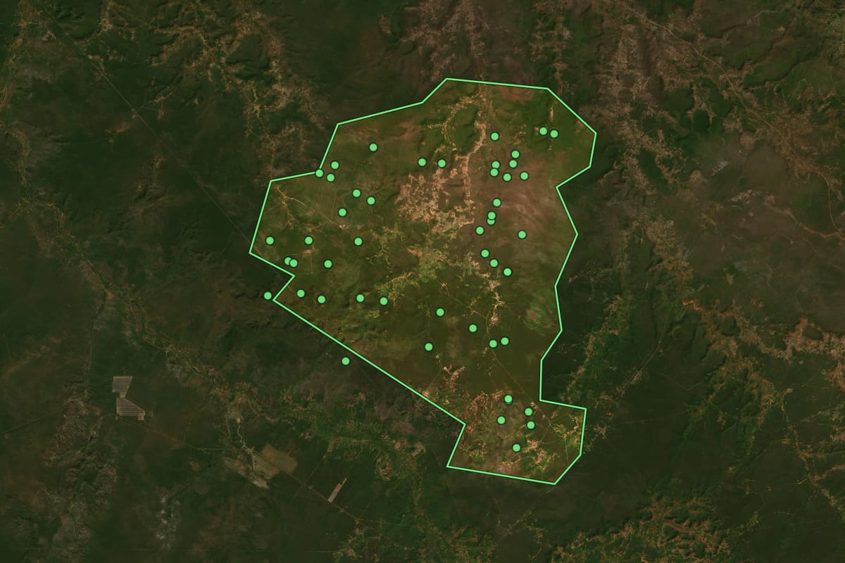 Imagem de satélite de Pedro Laurentino (PI), com o contorno do município e a posição dos imóveis desta página.