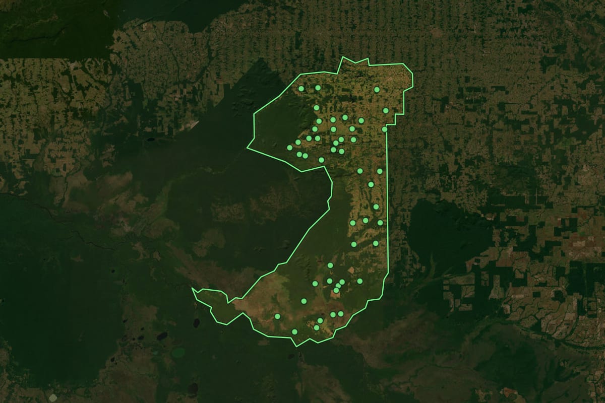 Imagem de satélite de Alta Floresta D'Oeste (RO), com o contorno do município e a posição dos imóveis desta página.