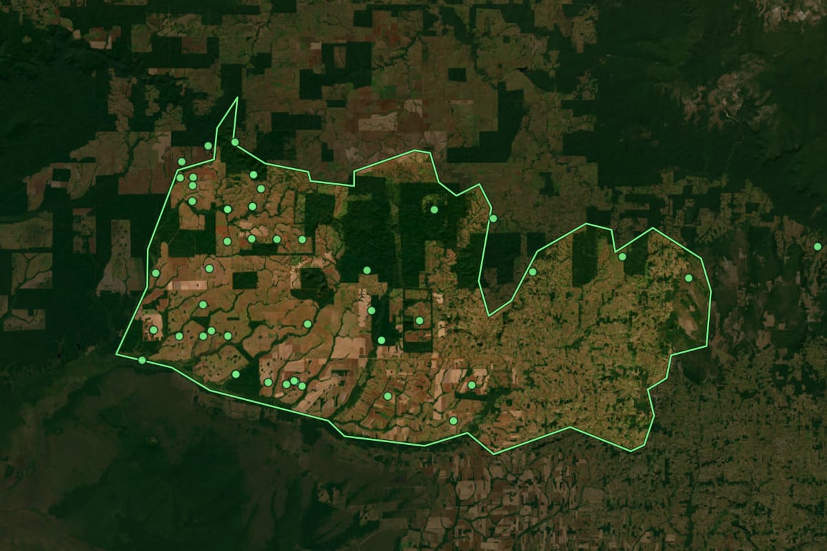 Imagem de satélite de Corumbiara (RO), com o contorno do município e a posição dos imóveis desta página.