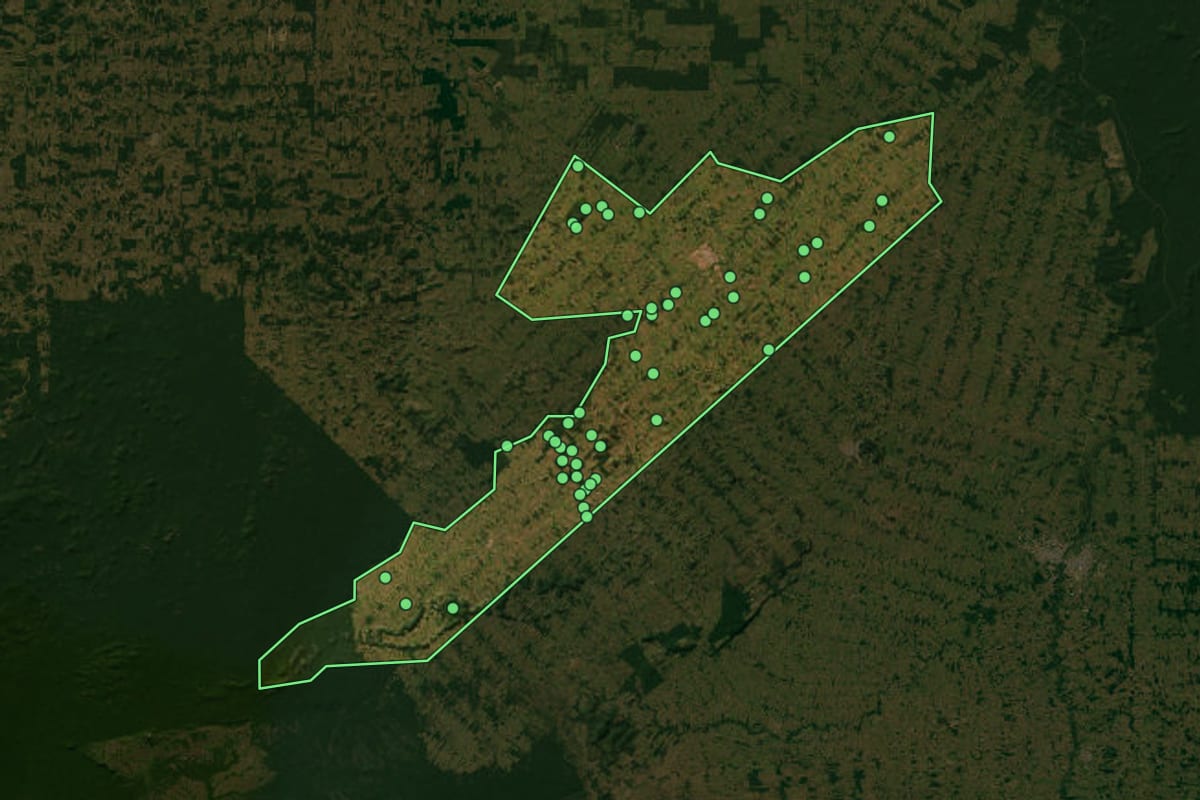 Imagem de satélite de Jaru (RO), com o contorno do município e a posição dos imóveis desta página.