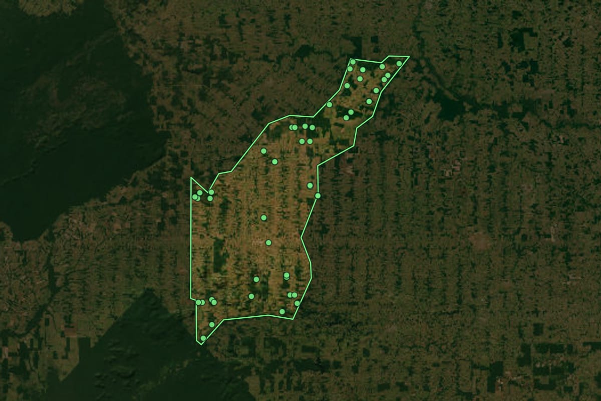 Imagem de satélite de Nova Brasilândia D'Oeste (RO), com o contorno do município e a posição dos imóveis desta página.