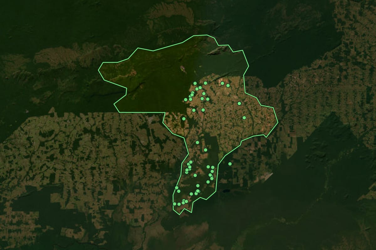 Imagem de satélite de Seringueiras (RO), com o contorno do município e a posição dos imóveis desta página.