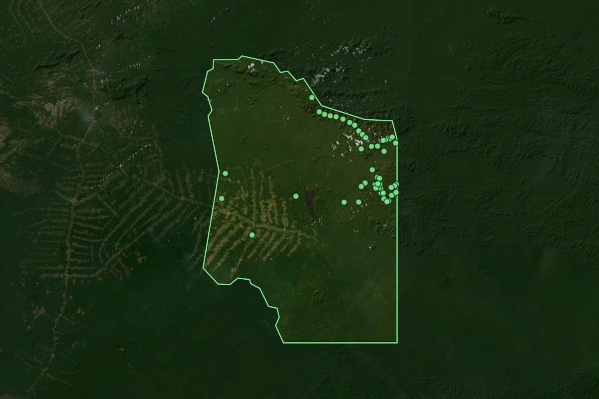 Imagem de satélite de Caroebe (RR), com o contorno do município e a posição dos imóveis desta página.