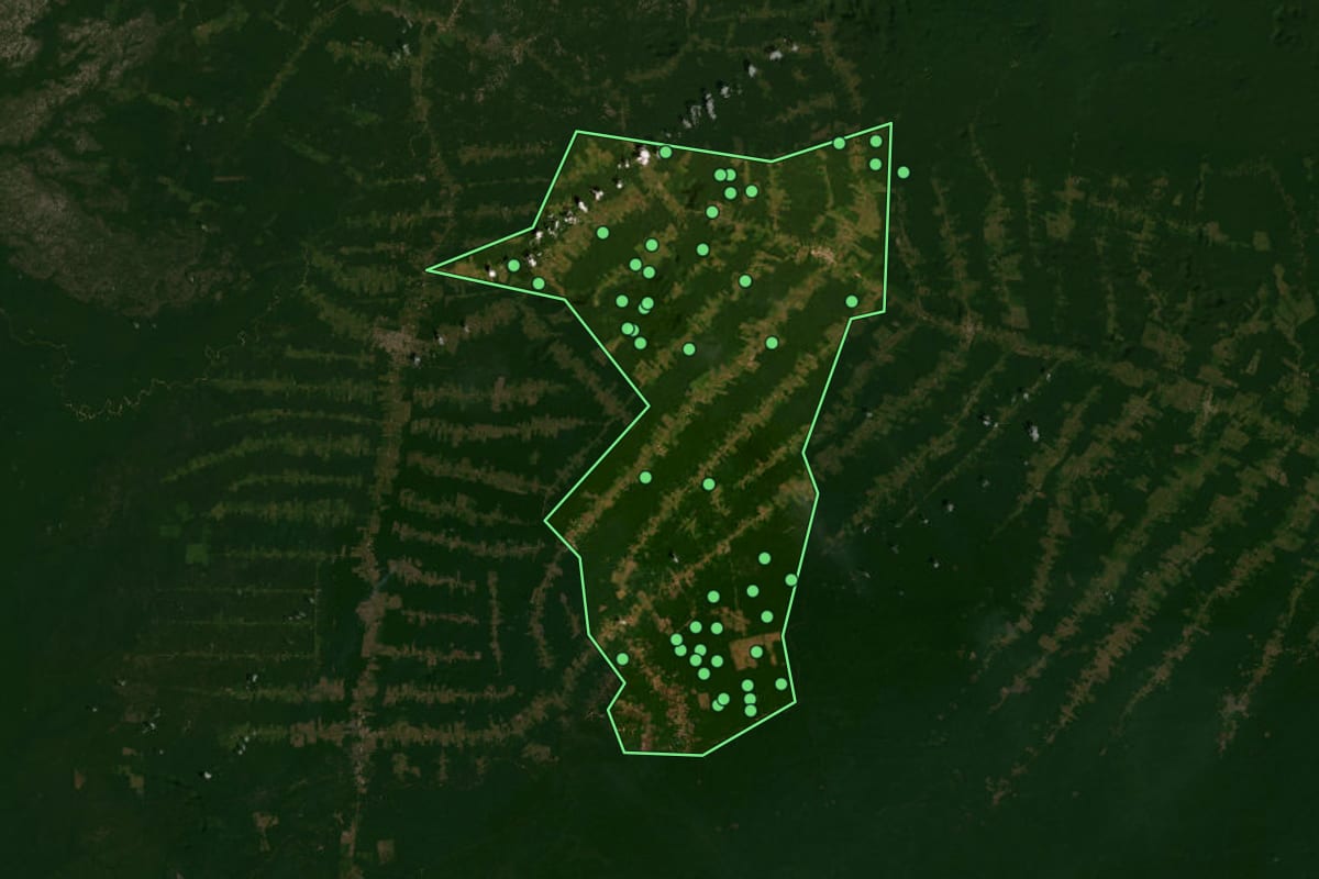 Imagem de satélite de São Luiz do Anauá (RR), com o contorno do município e a posição dos imóveis desta página.