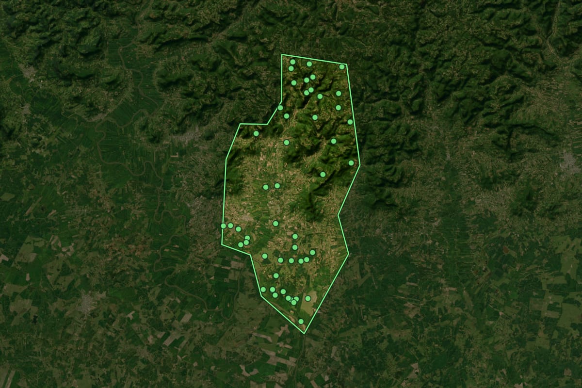 Imagem de satélite de Paraíso do Sul (RS), com o contorno do município e a posição dos imóveis desta página.