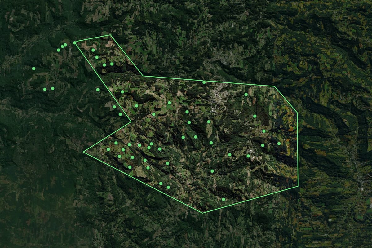 Imagem de satélite de Salvador do Sul (RS), com o contorno do município e a posição dos imóveis desta página.