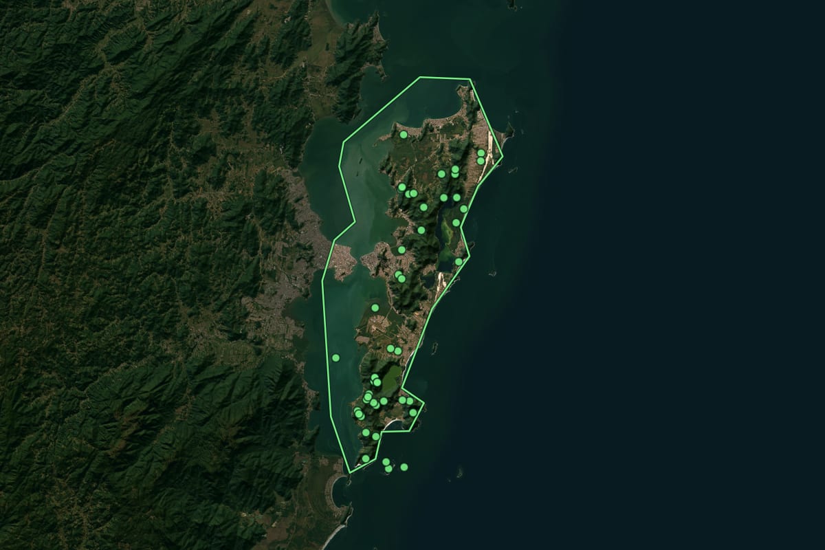 Imagem de satélite de Florianópolis (SC), com o contorno do município e a posição dos imóveis desta página.