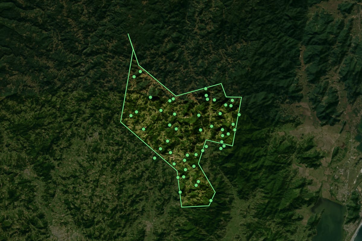 Imagem de satélite de São Martinho (SC), com o contorno do município e a posição dos imóveis desta página.
