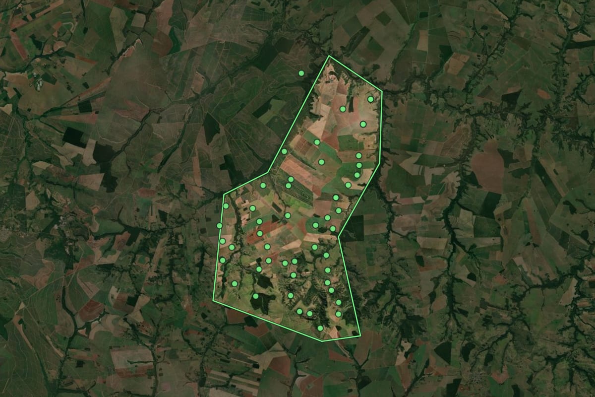 Imagem de satélite de Borá (SP), com o contorno do município e a posição dos imóveis desta página.