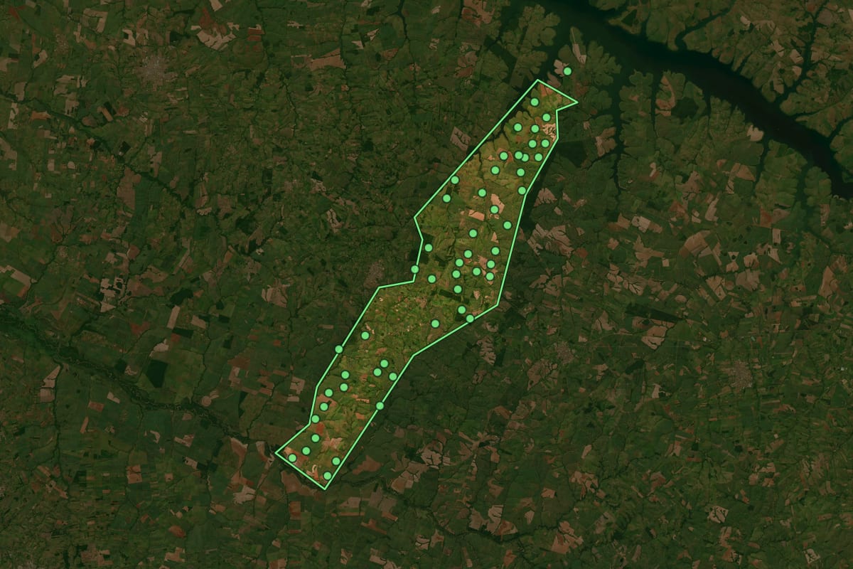 Imagem de satélite de Lavínia (SP), com o contorno do município e a posição dos imóveis desta página.