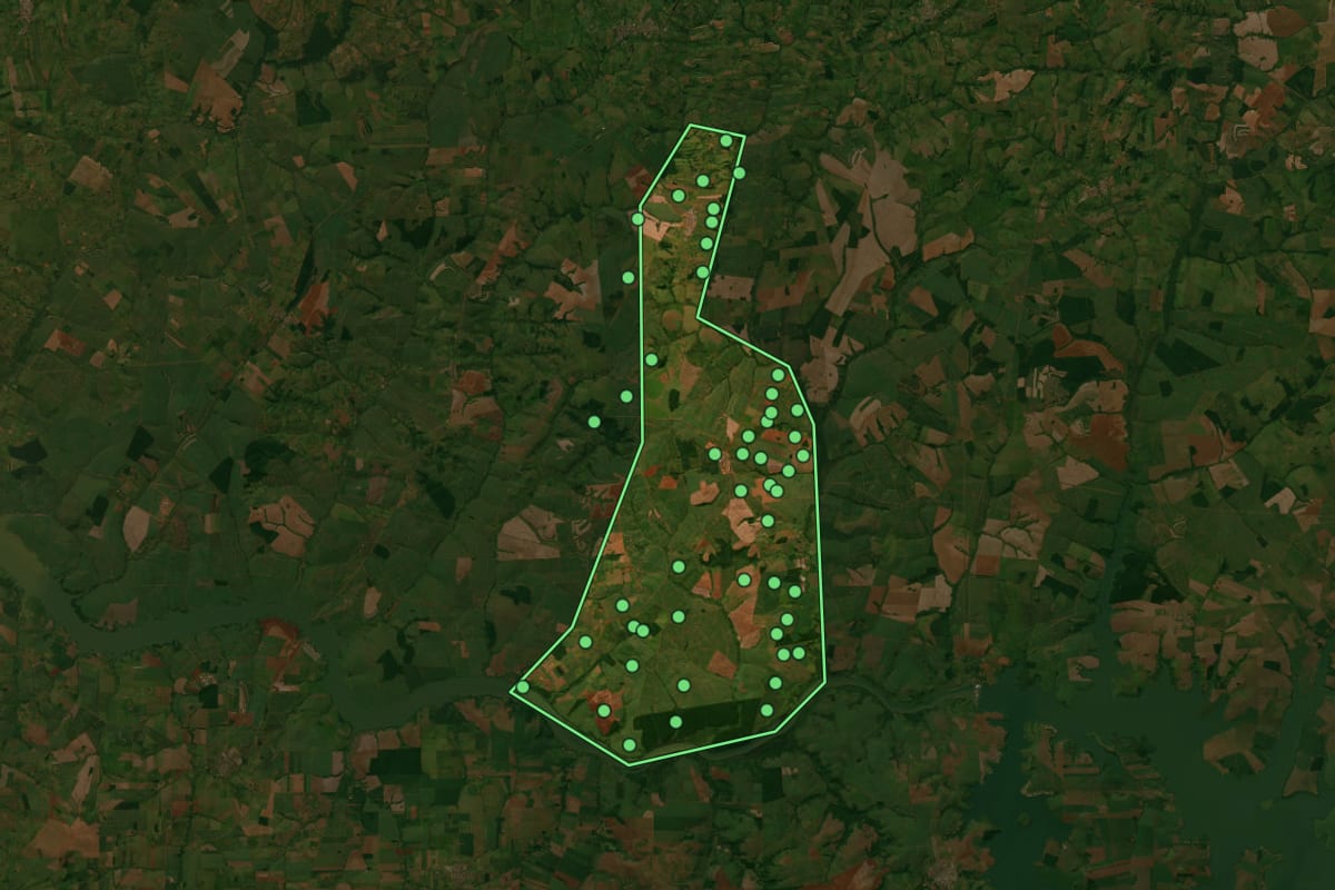 Imagem de satélite de Narandiba (SP), com o contorno do município e a posição dos imóveis desta página.