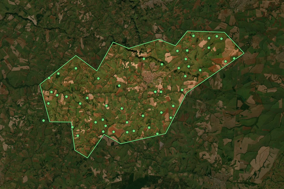Imagem de satélite de Taquaritinga (SP), com o contorno do município e a posição dos imóveis desta página.