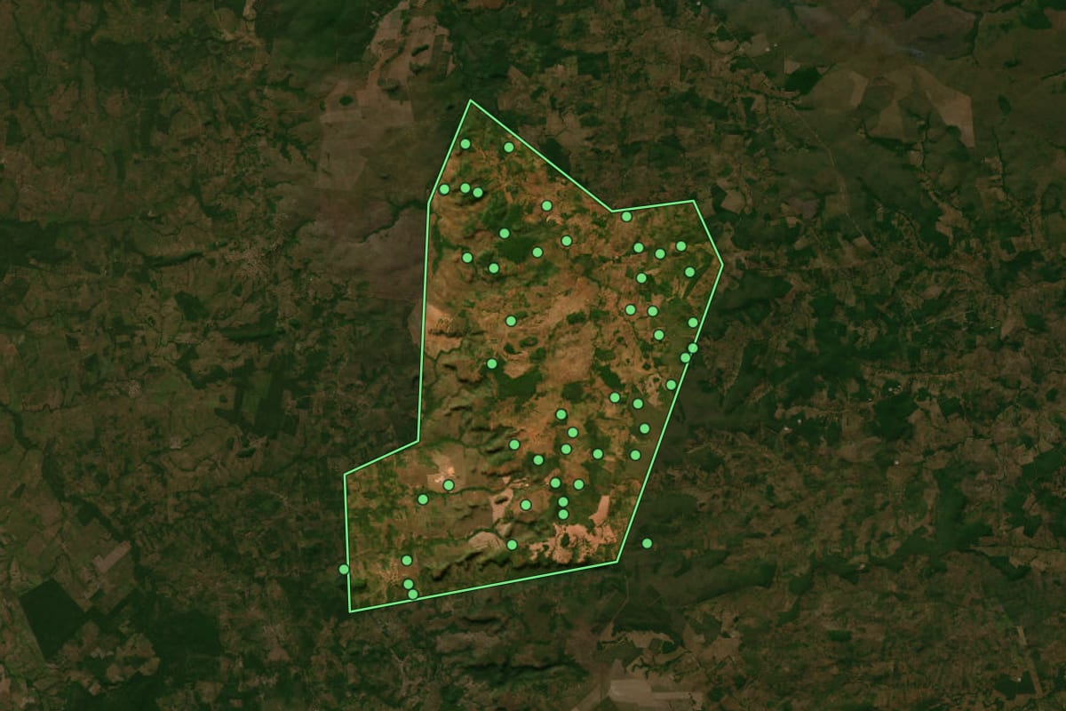Imagem de satélite de Angico (TO), com o contorno do município e a posição dos imóveis desta página.