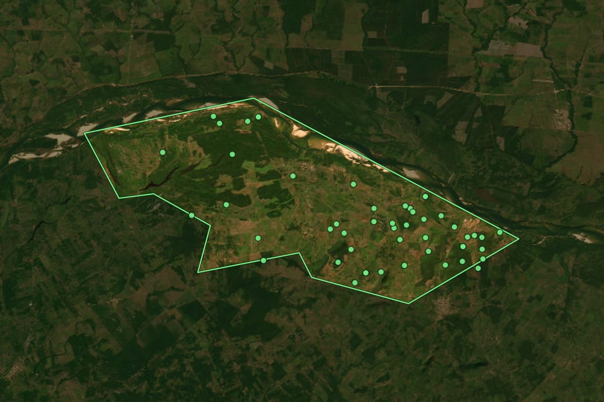 Imagem de satélite de São Sebastião do Tocantins (TO), com o contorno do município e a posição dos imóveis desta página.